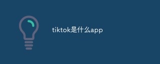 tiktok是什么app
