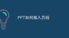 PPT에 페이지 번호를 삽입하는 방법