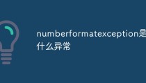 numberformatexception是什么异常