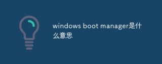 windows boot manager是什么意思