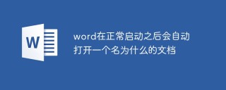 word在正常启动之后会自动打开一个名为什么的文档