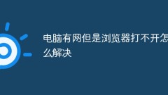 What should I do if my computer has Internet access but the browser cannot be opened?