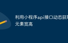 利用小程序api接口动态获取元素宽高