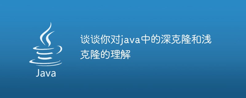 Java의 심층 복제와 얕은 복제에 대한 이해에 대해 이야기해 주세요.