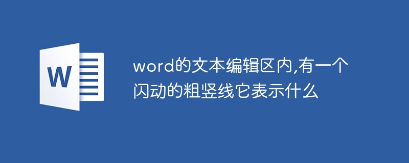 word的文本编辑区内,有一个闪动的粗竖线它表示什么