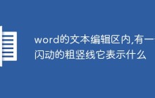 word的文本编辑区内,有一个闪动的粗竖线它表示什么