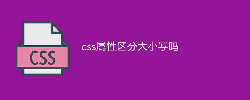 css属性区分大小写吗