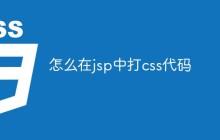 怎么在jsp中打css代码