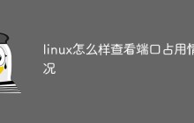 linux怎么样查看端口占用情况