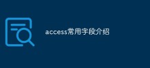 access常用欄位介紹