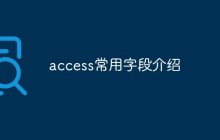 access常用字段介绍