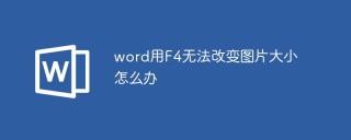 word用F4无法改变图片大小怎么办