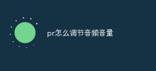 PRで音量を調整する方法
