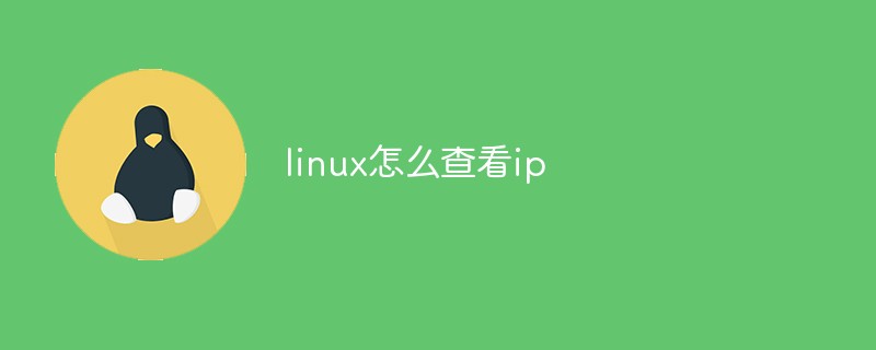 linux怎麼查看ip