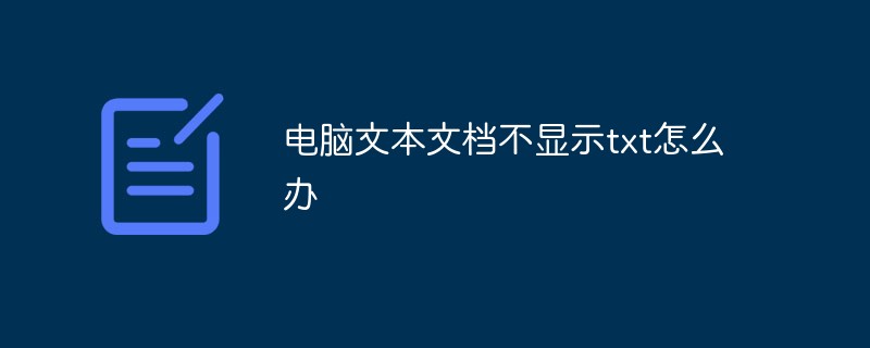 컴퓨터 텍스트 문서에 txt가 표시되지 않으면 어떻게 해야 합니까?