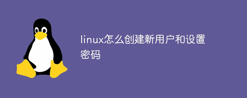 linux怎么创建新用户和设置密码