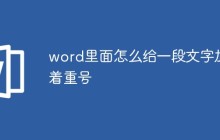 word里面怎么给一段文字加着重号