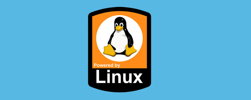 linux如何建立文件