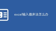 엑셀 입력값이 잘못된 경우 대처방법