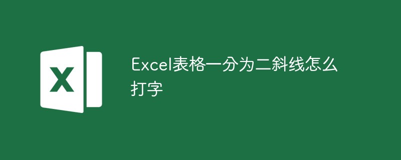 How to type when an Excel table is divided into two slashes