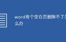 word有个空白页删除不了怎么办