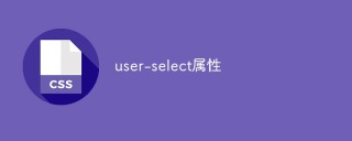 Detailed explanation of user-select attribute