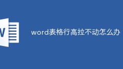 word表格行高拉不动怎么办