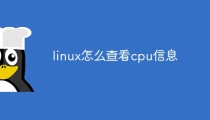 linux怎么查看cpu信息