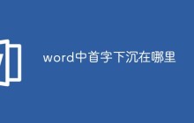 word中首字下沉在哪里