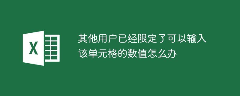 其他用户已经限定了可以输入该单元格的数值怎么办