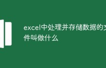 excel中处理并存储数据的文件叫做什么