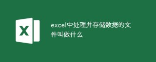 excel中处理并存储数据的文件叫做什么