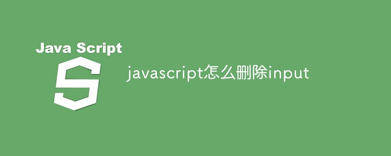 javascript怎么删除input