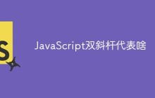 JavaScript双斜杆代表啥