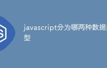 javascript分为哪两种数据类型