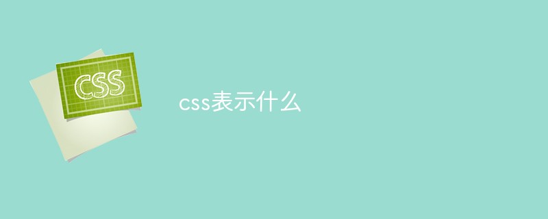 css表示什么