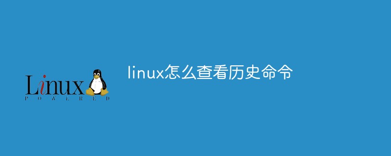 Linux에서 명령 기록을 보는 방법