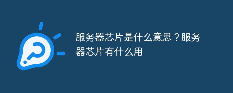 서버칩은 무슨 뜻인가요? 서버 칩은 어디에 사용되나요?