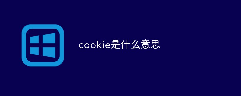cookie是什么意思