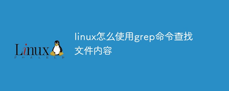 So verwenden Sie den Befehl grep, um Dateiinhalte unter Linux zu finden