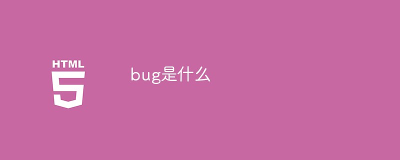 bug是什么