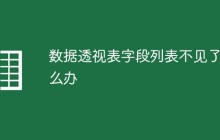 数据透视表字段列表不见了怎么办