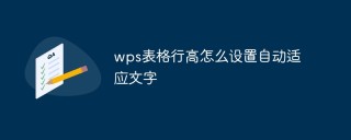 wps表格行高怎么设置自动适应文字