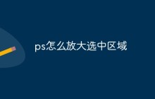 ps怎么放大选中区域