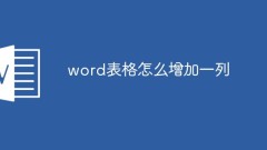 word表格怎么增加一列