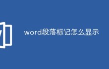 word段落标记怎么显示