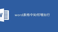 word表格中如何增加行