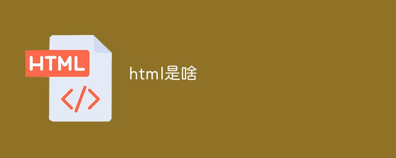 html是啥