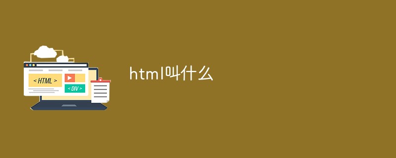 html叫什么