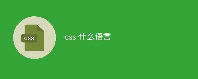 css何の言語ですか